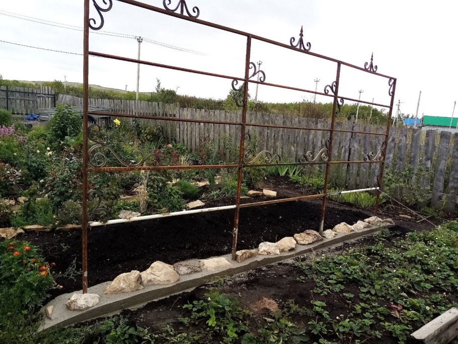 Подвязка винограда на двухплоскостной шпалере