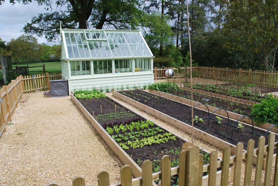 Теплица в огороде