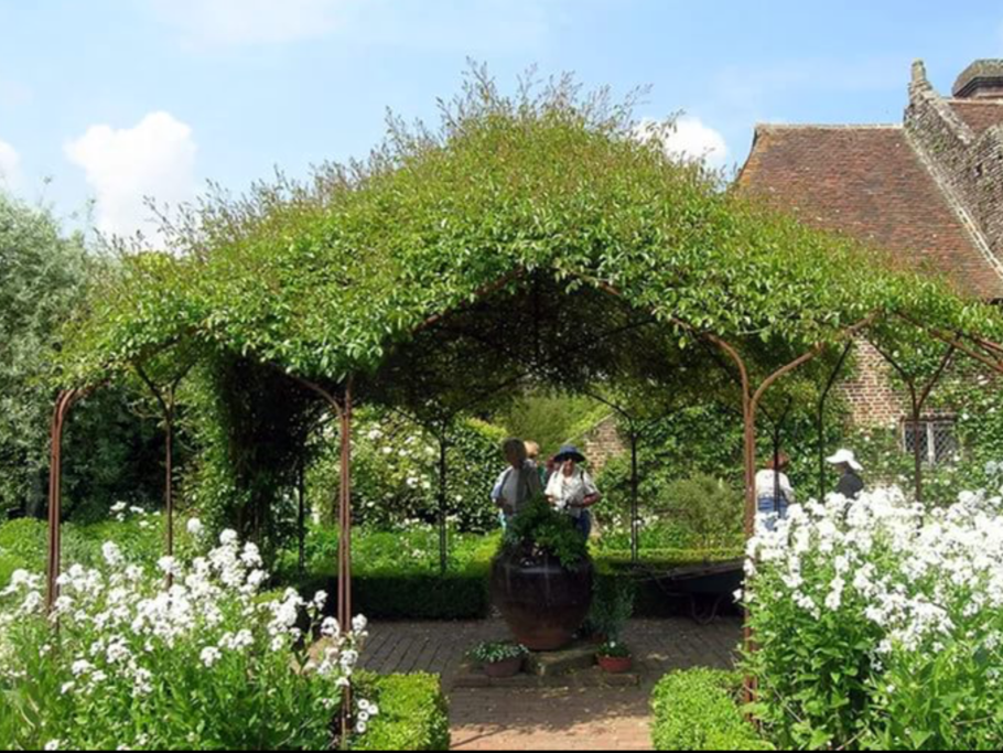 Пергола с живой изгородью в ландшафте