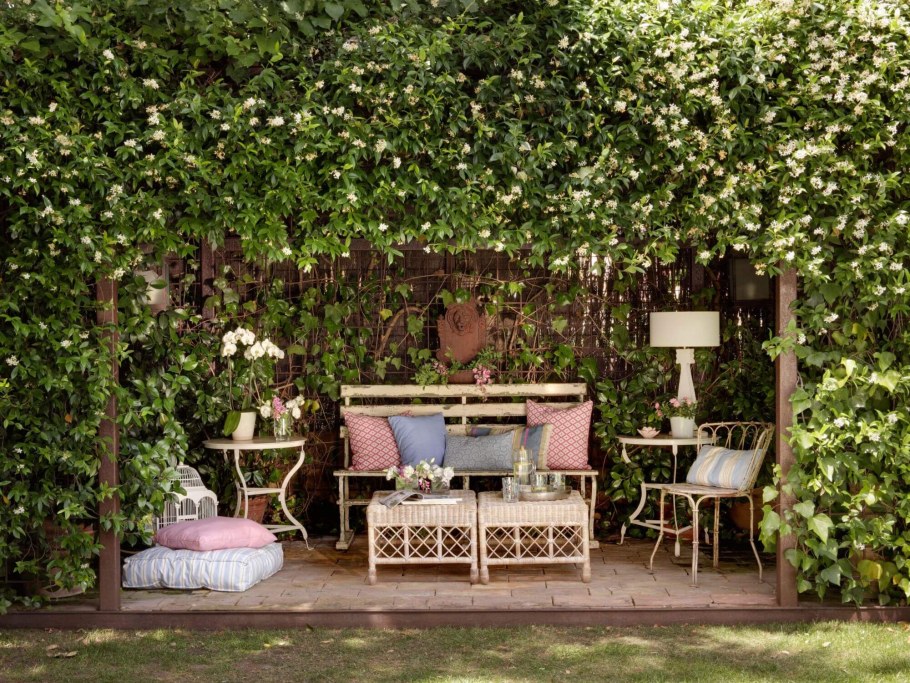 Терраса Турандот девичий виноград