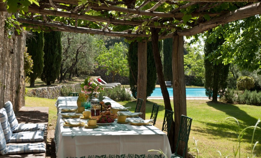 Виноград на перголе в Италии