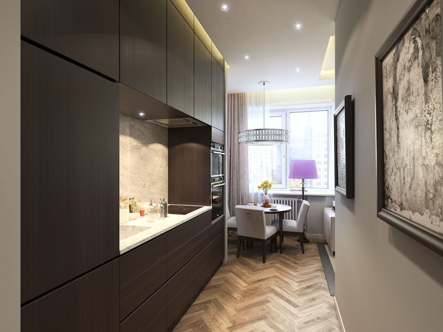Интерьер кухни с прихожей