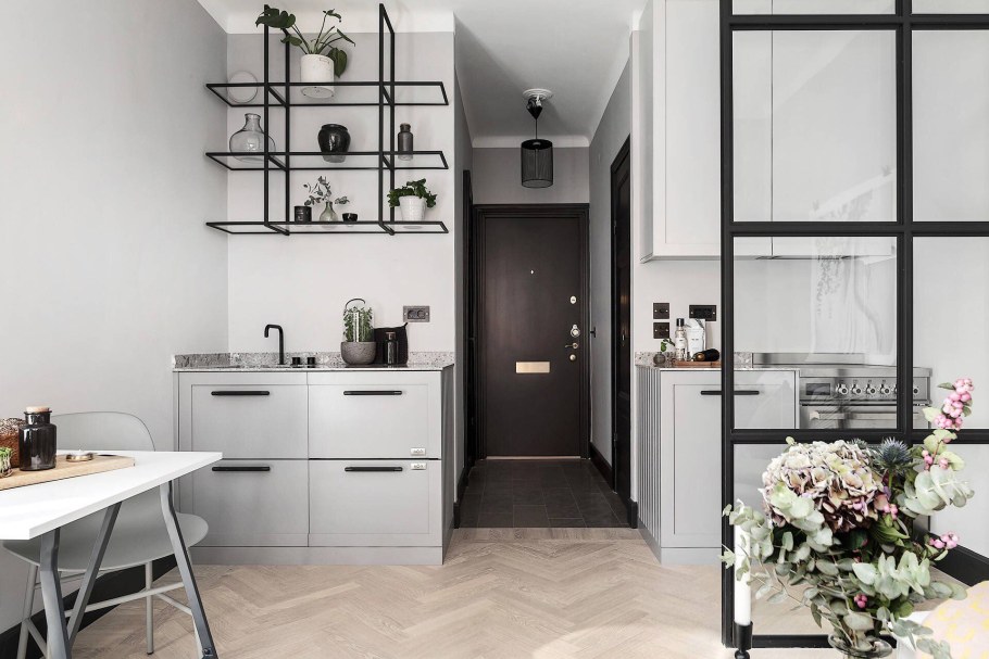 Кухня совмещенная с прихожей