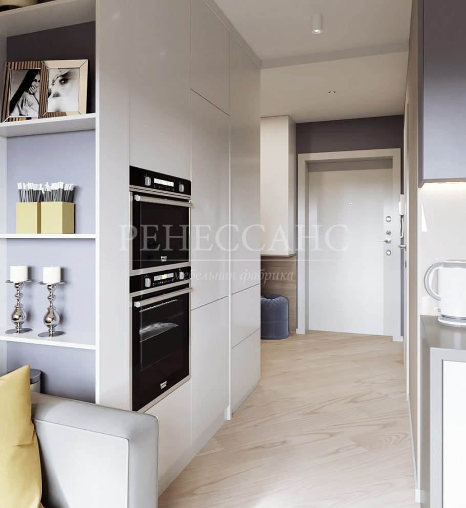 Кухня совмещенная с комнатой