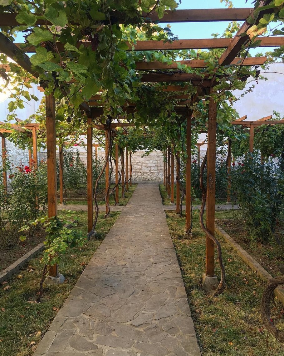 Пергола для актинидии