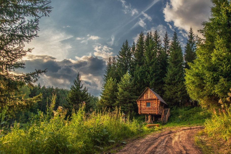 Друскининкай лес избушка