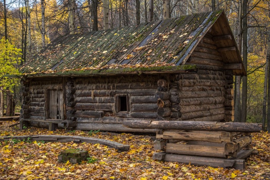 Сосновый лес изба скит Торжок