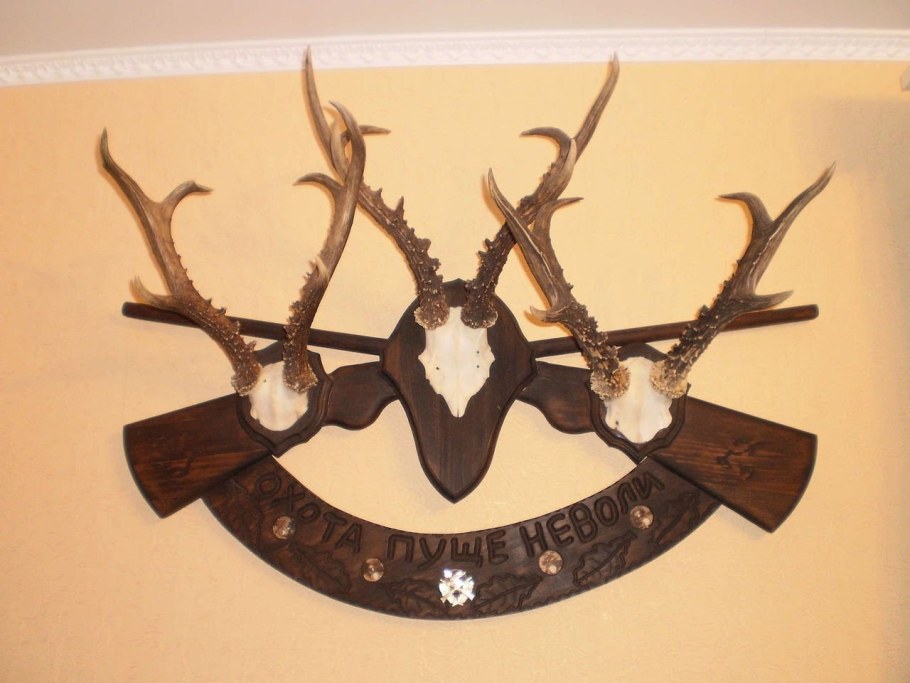 Рога косули на медальоне