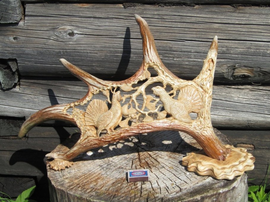 Трофейные рога лося