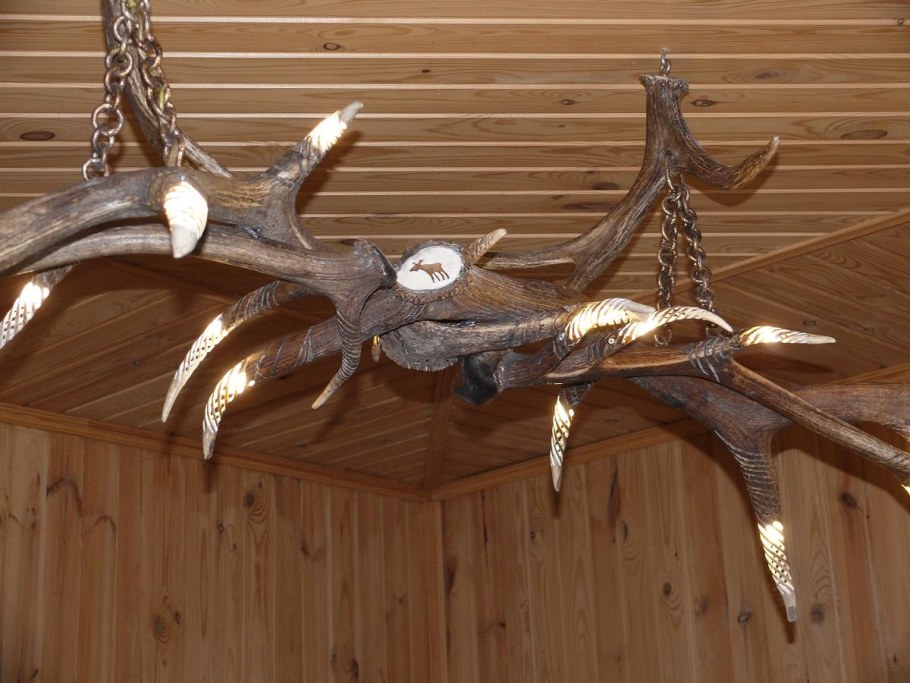 Изделия из Рогов косули