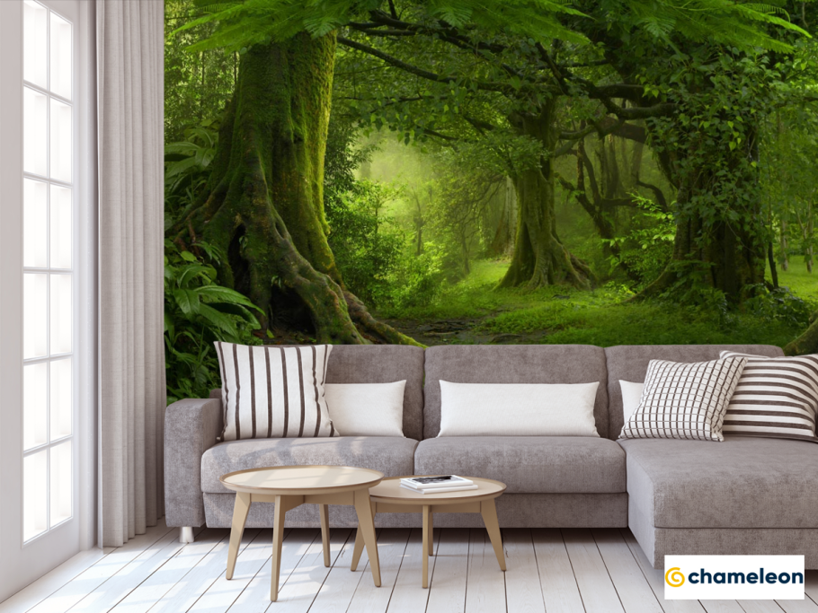 Зеленая природа фотообои