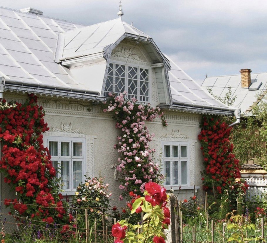 Сибирский палисадник