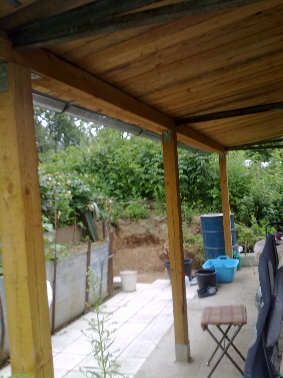 Пергола для актинидии