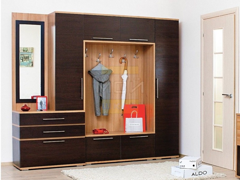 Прихожая Елизавета Артис