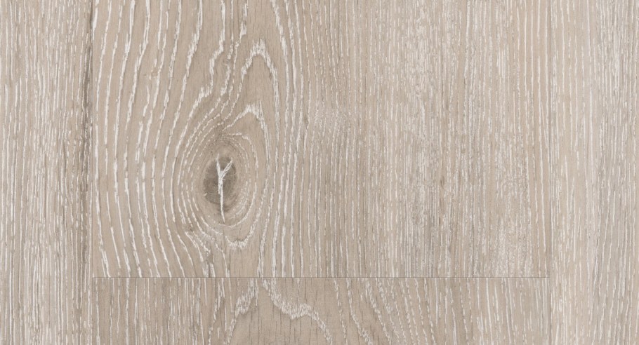 Дуб белфорд и дуб молочный