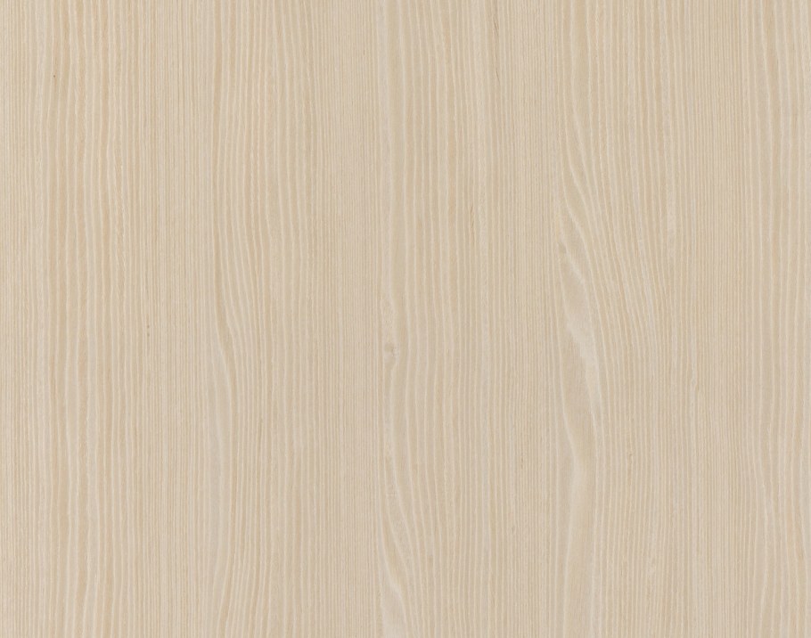 Вяз жемчужный 1435