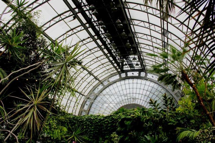 Оранжерея Таврического сада