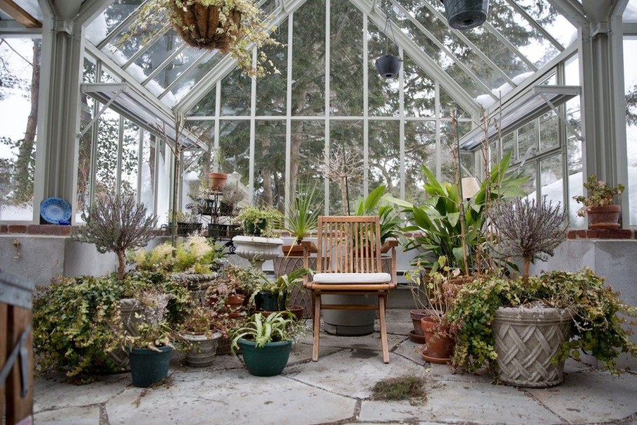 Таврический сад в Санкт-Петербурге оранжерея