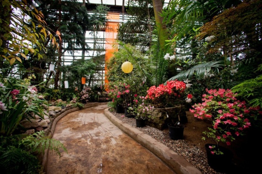 Оранжерея Батайск