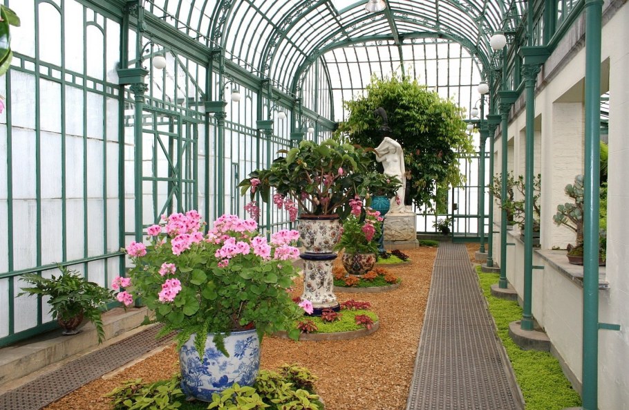 Ботанический сад ВДНХ