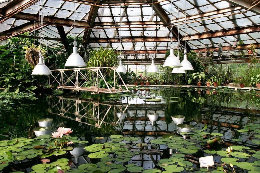 Оранжерея Цицина