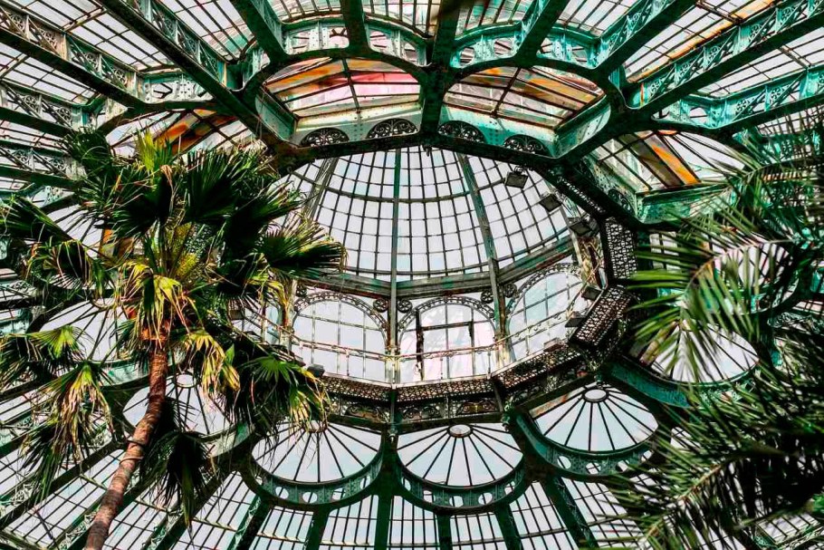 Монрепо оранжерея