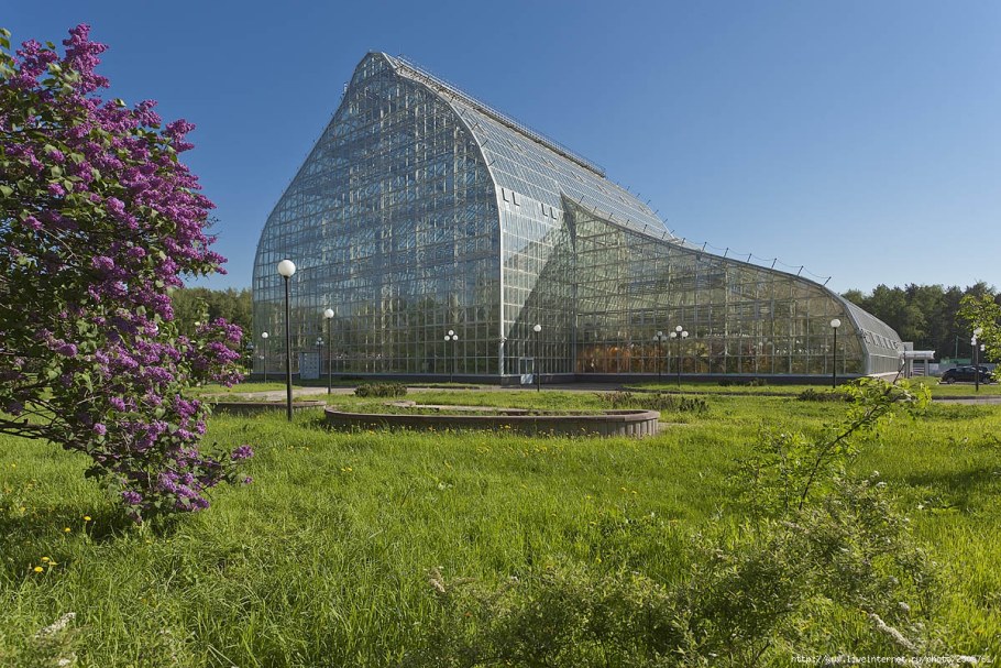 Ботанический сад Папоротниковая оранжерея