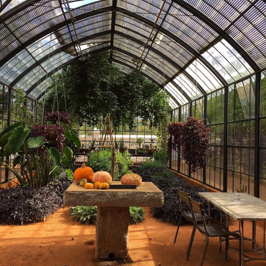 Ботанический сад Петра Великого в Санкт-Петербурге