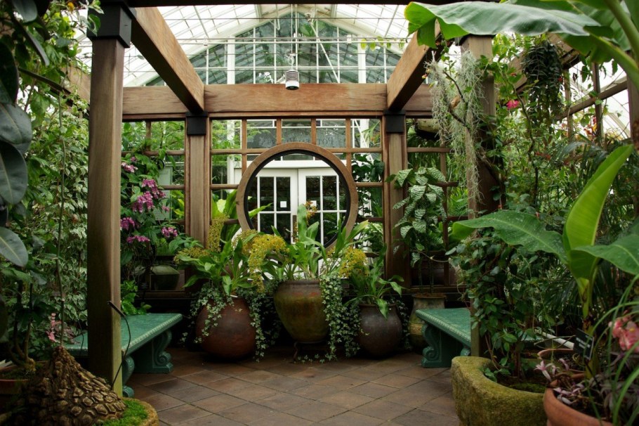 Падуя Ботанический сад оранжерея