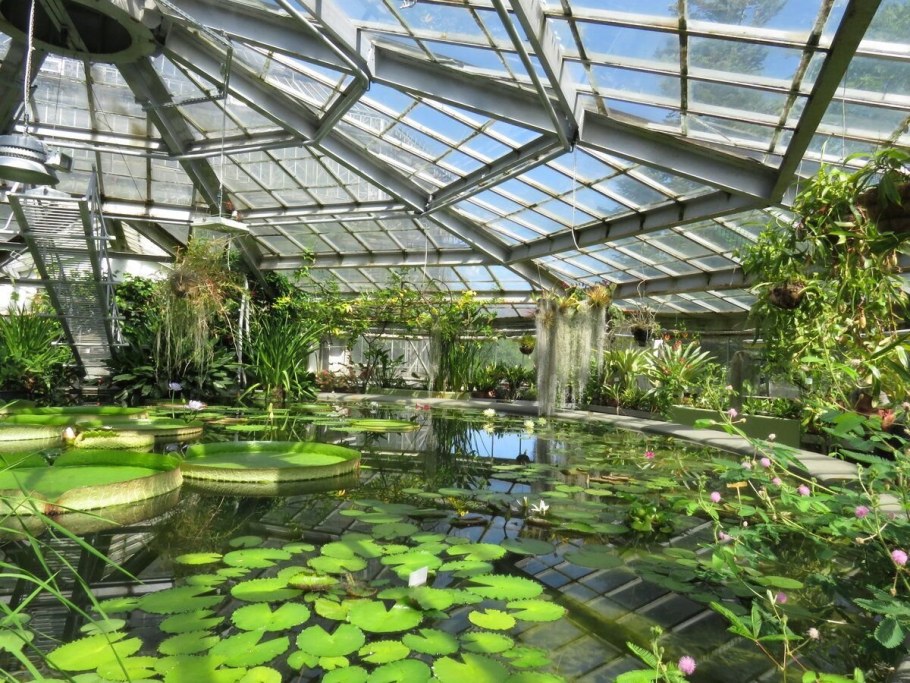 Ботанический сад Куритибы