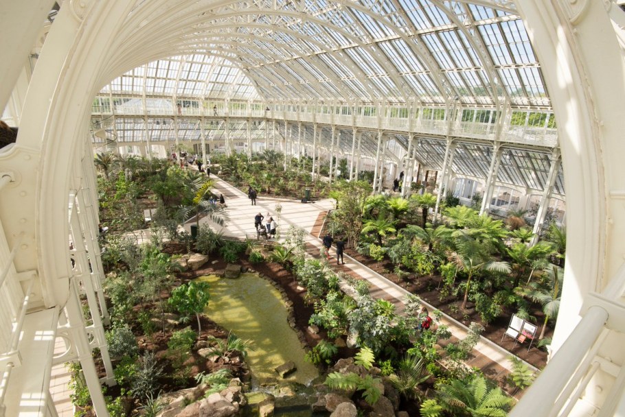 Королевские оранжереи в Брюсселе
