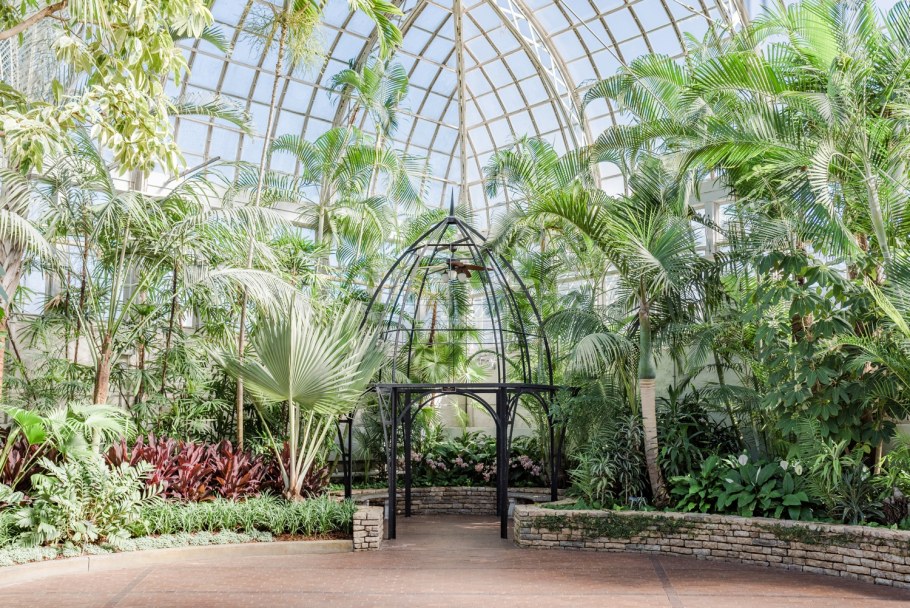 Ботанический сад Нью-Йорка