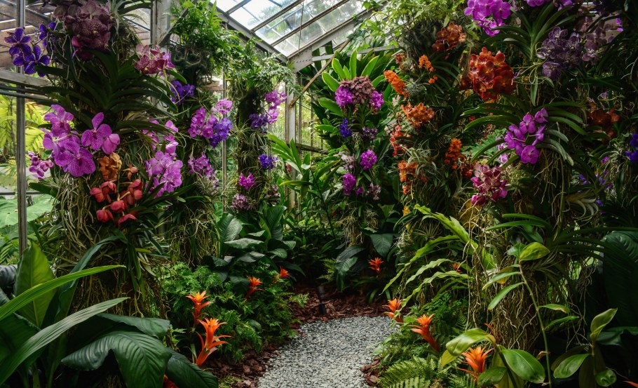 Оранжерея Лонгвуд Гарденс