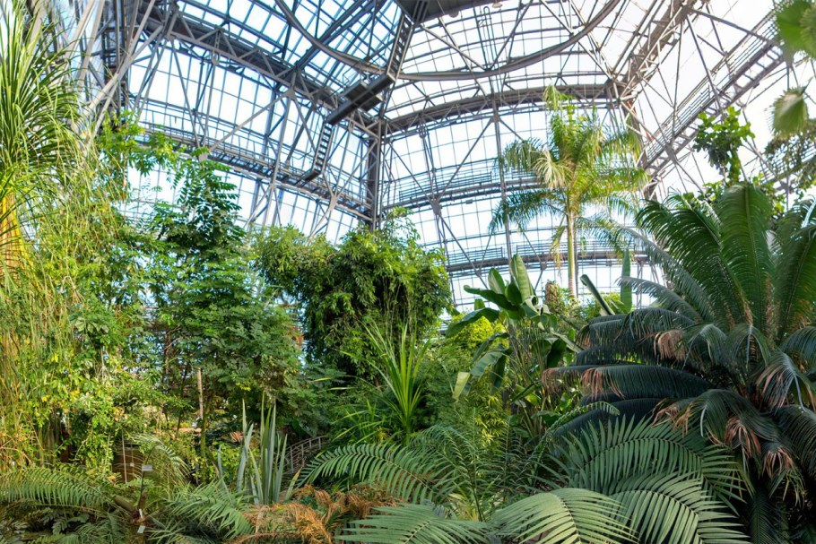 Таврический сад Питер оранжерея