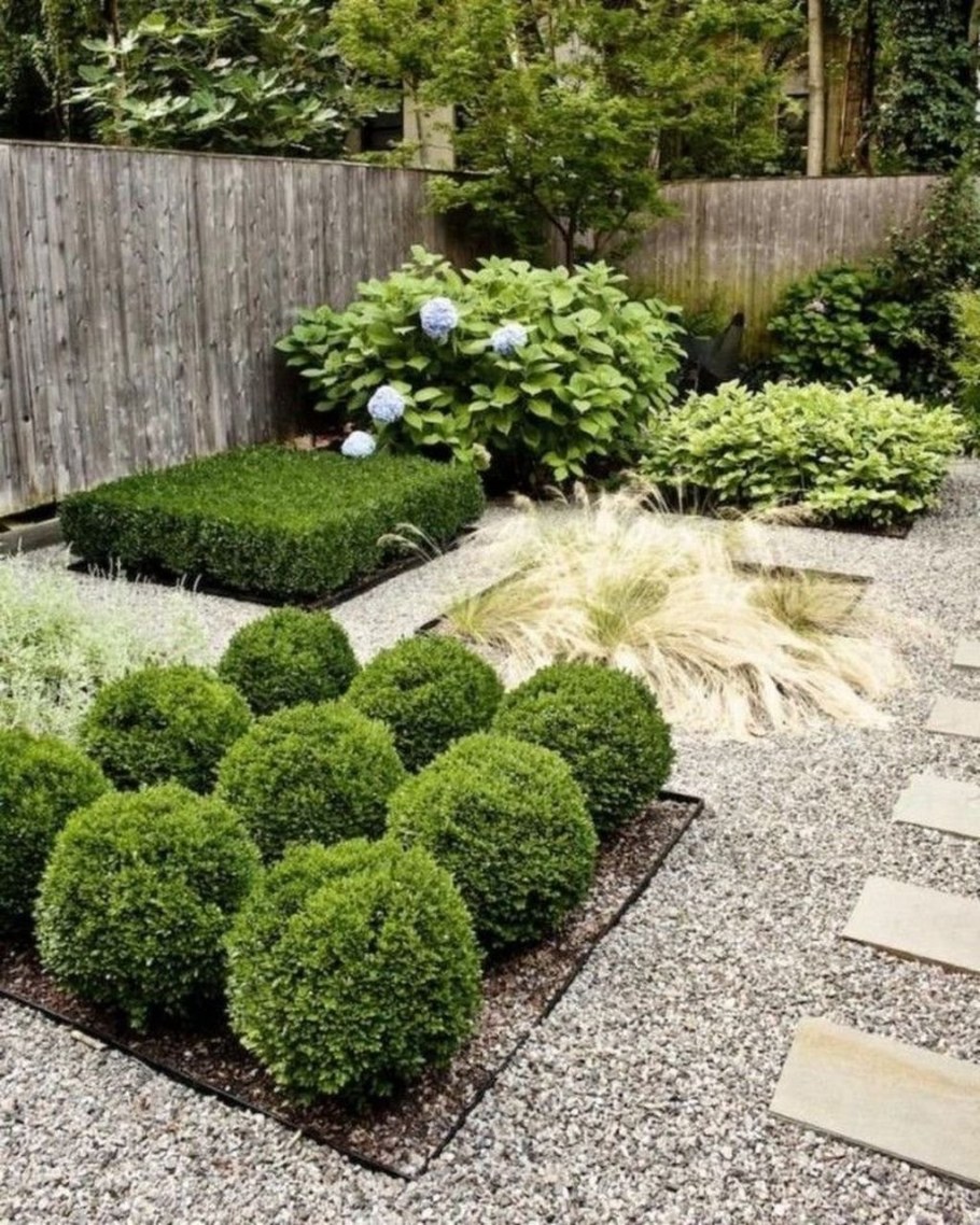 Клумба туя Хоста можжевельник