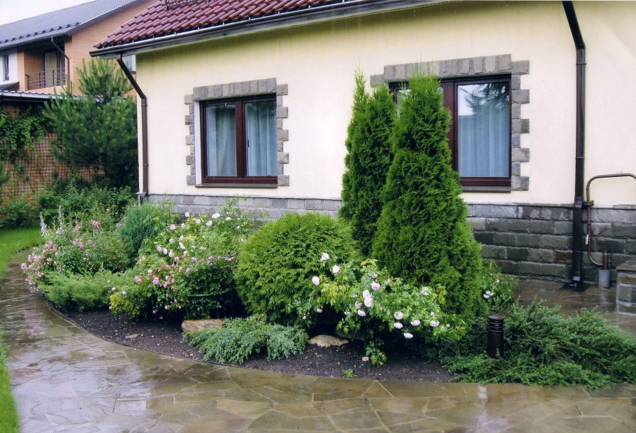 Кустарники и туя Смарагд в миксбордере