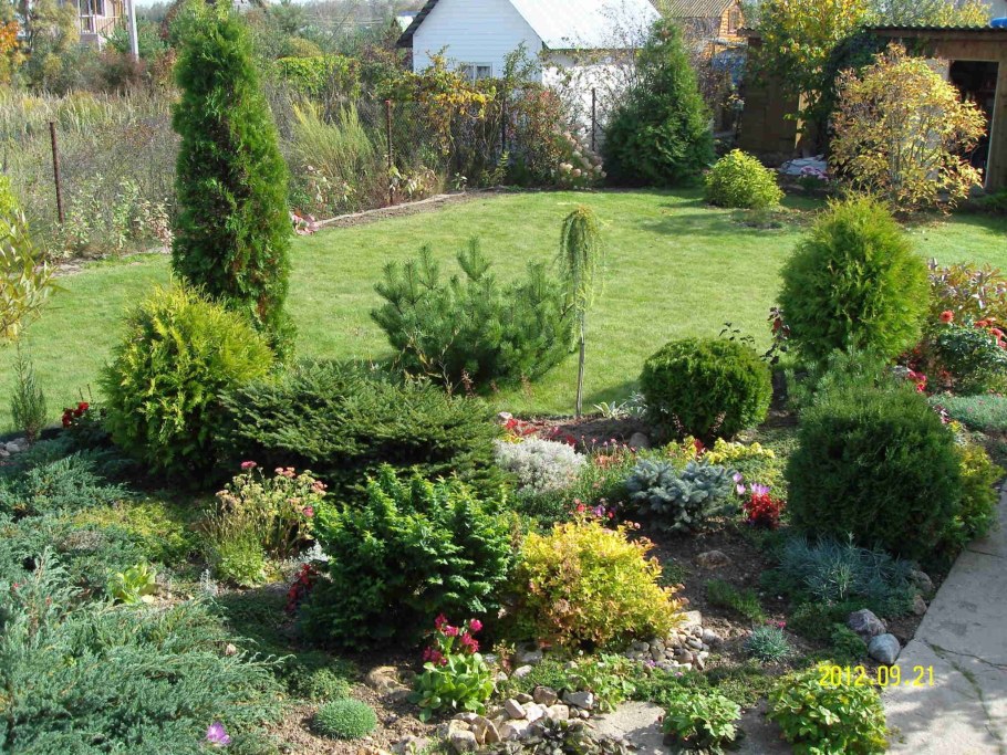 Хвойный миксбордер Андорра компакта