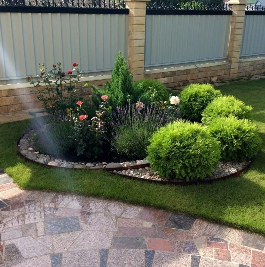 Гортензия,Хоста, туя Даника