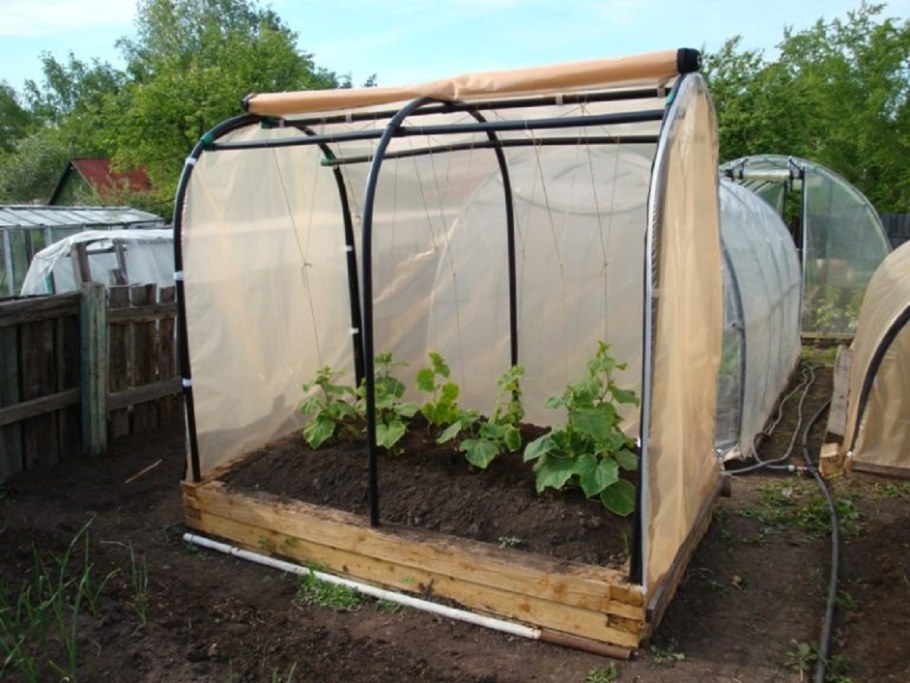 Мини умная теплица Greenhouse