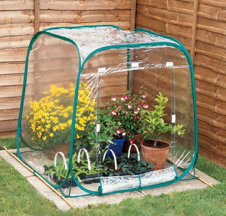 Парник Greenhouse т-21