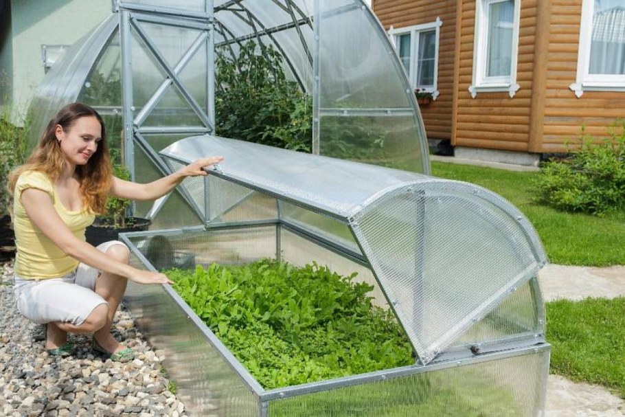 Парник Greenhouse т-21