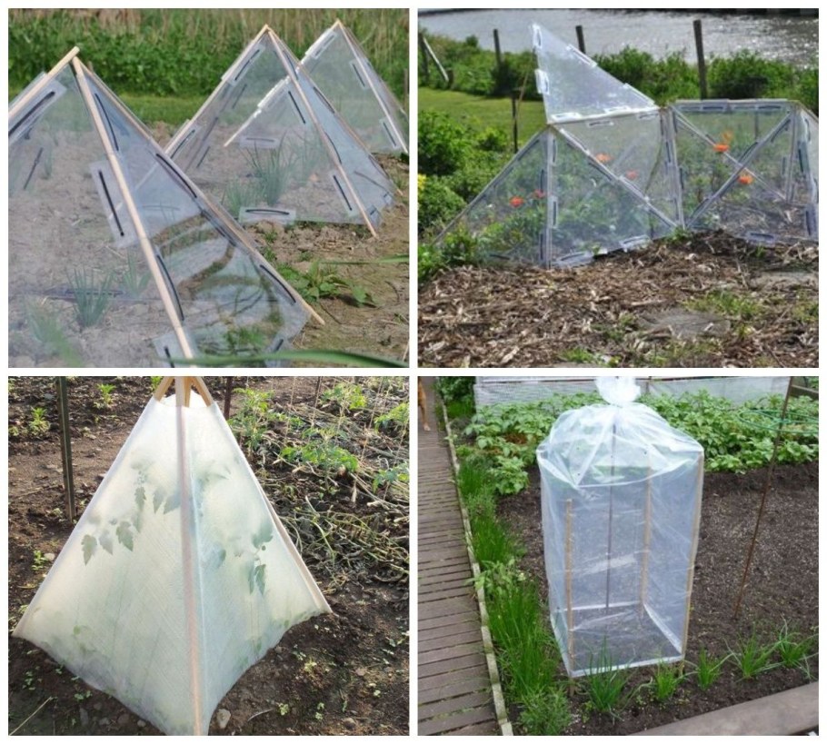 Необычный парник для огурцов