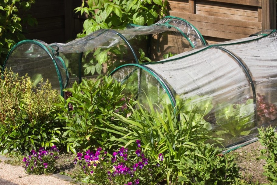 Шед сарайчик