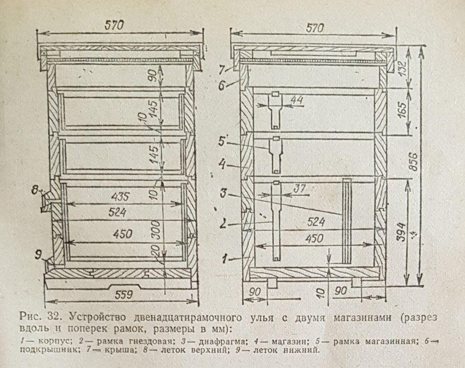 Чертеж 12 рамочного улья Дадан