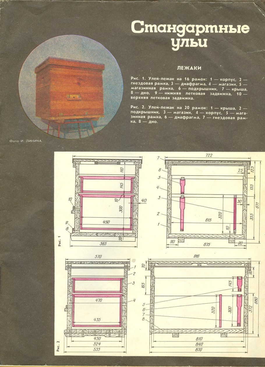 Улей для пчел Дадан чертеж