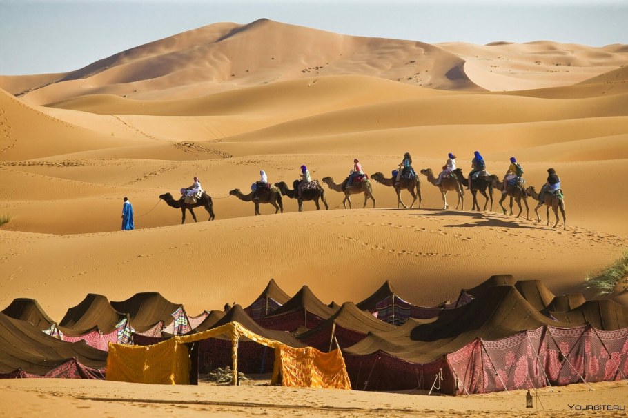 Бедуины Аравийского полуострова
