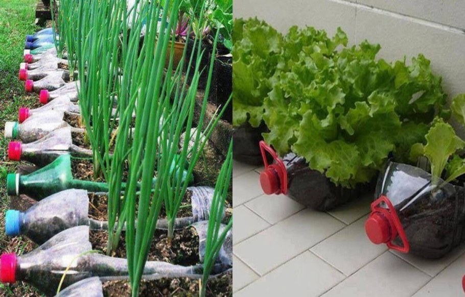 Лайфхаки для садового инвентаря