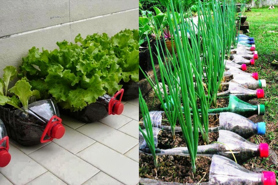 Приятные мелочи на даче