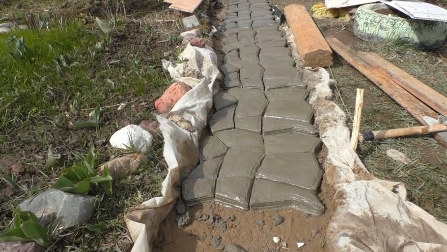 Тропинка из монет