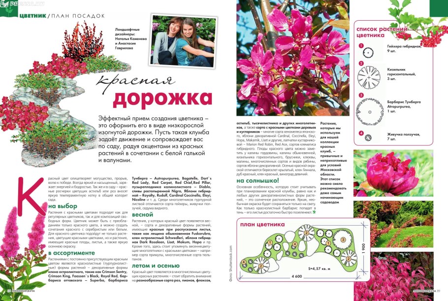 Клумбы цветы по срокам цветения